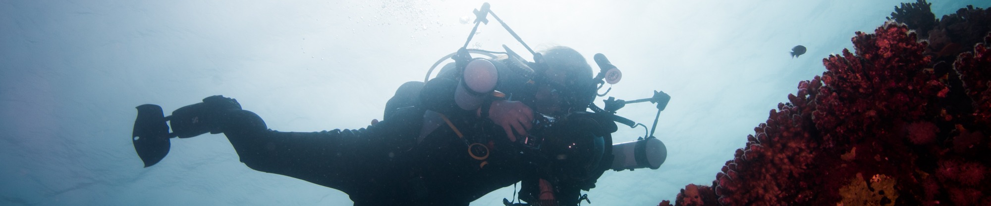 Podvodní fotografování
