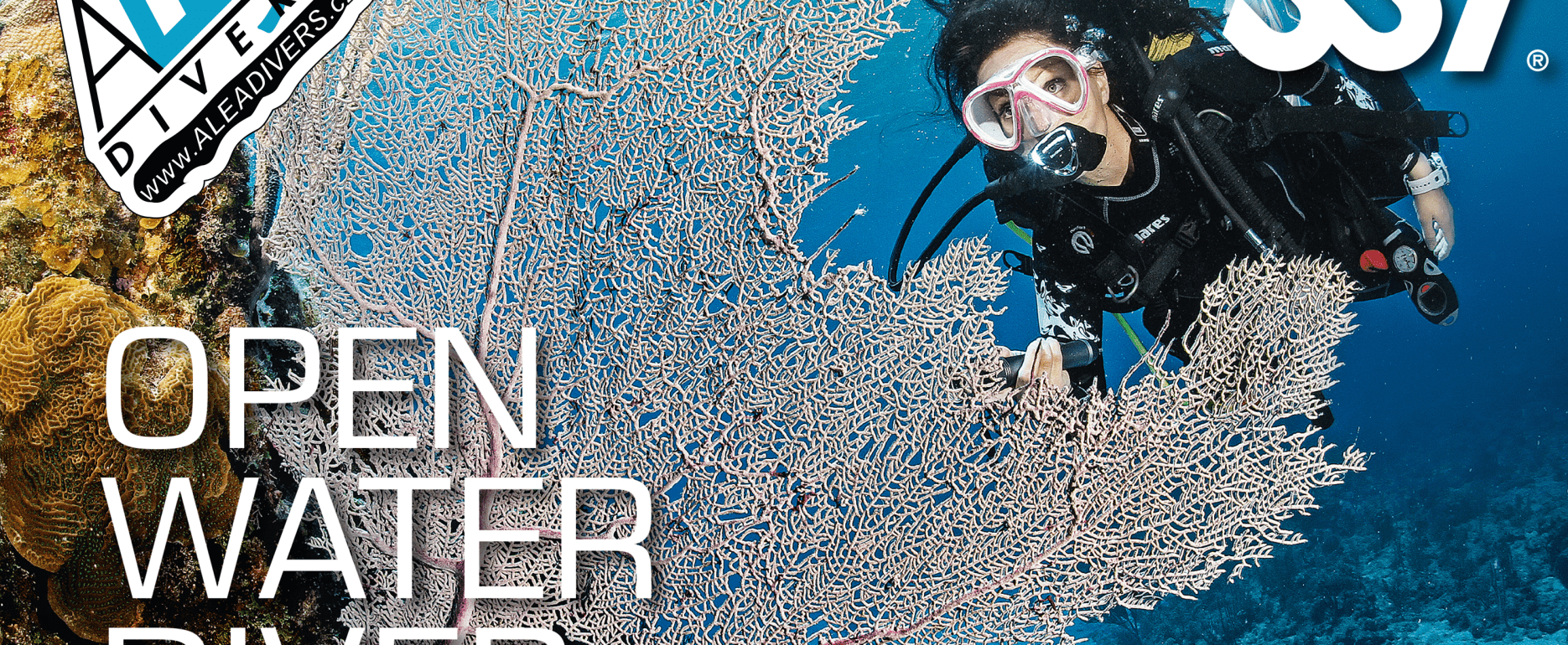 Open Water Diver SSI