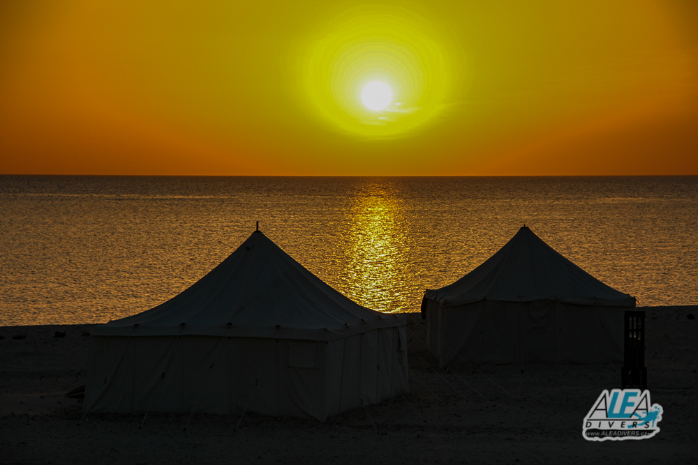 Marsa Shagra Egypt diving ALEA Divers