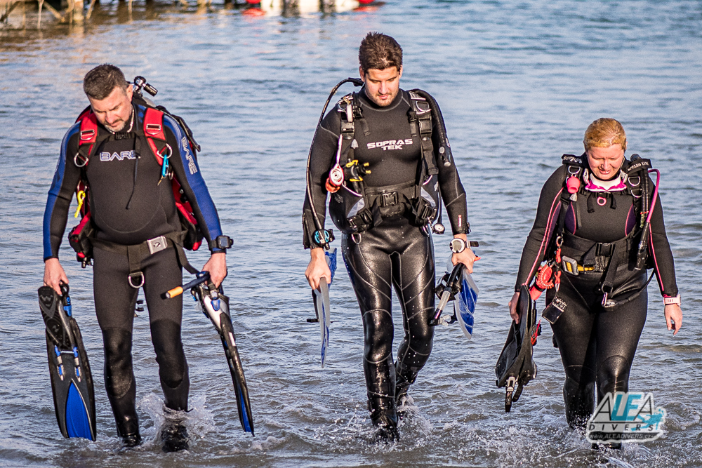 Marsa Shagra Egypt diving ALEA Divers