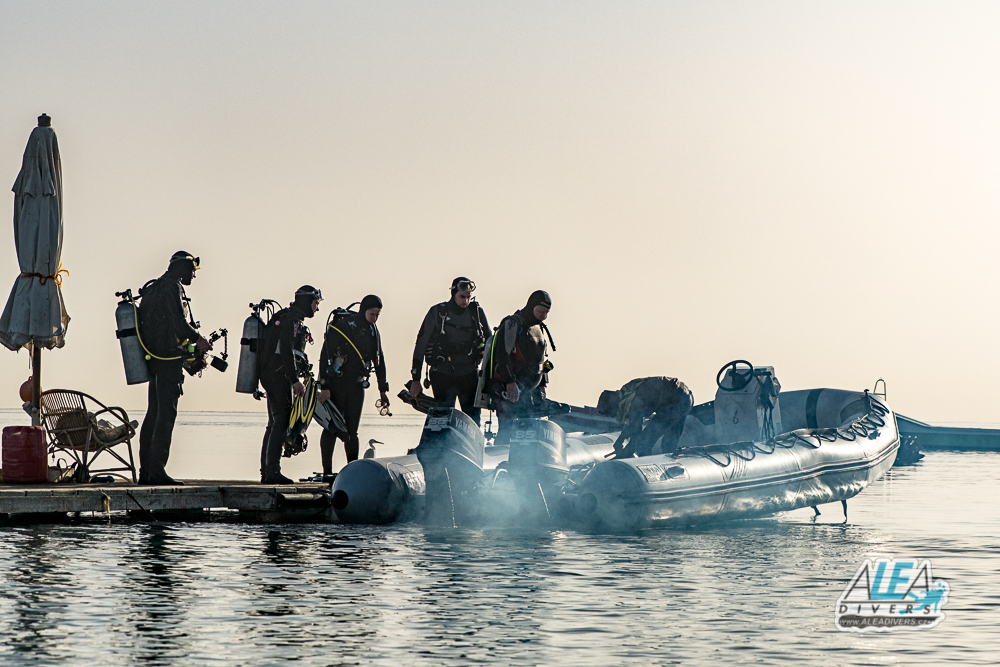 Marsa Shagra Egypt diving ALEA Divers