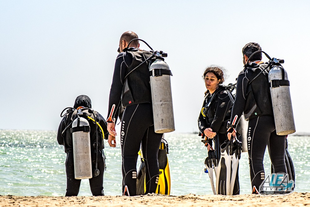 Marsa Shagra Egypt diving ALEA Divers