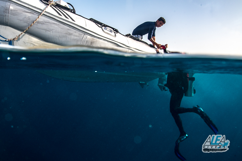 Marsa Shagra Egypt diving ALEA Divers