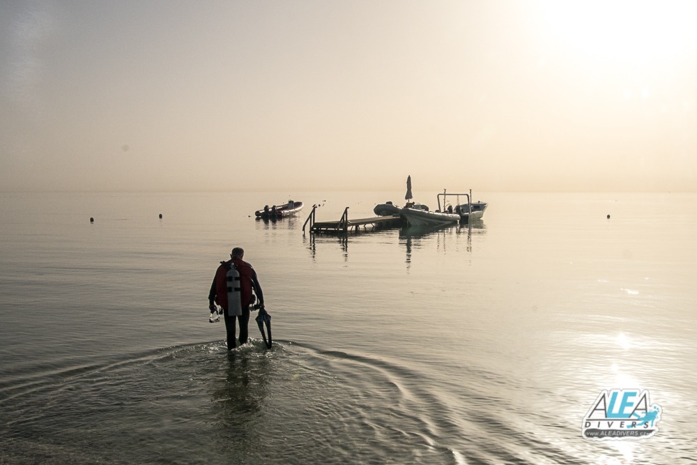 Marsa Shagra Egypt diving ALEA Divers