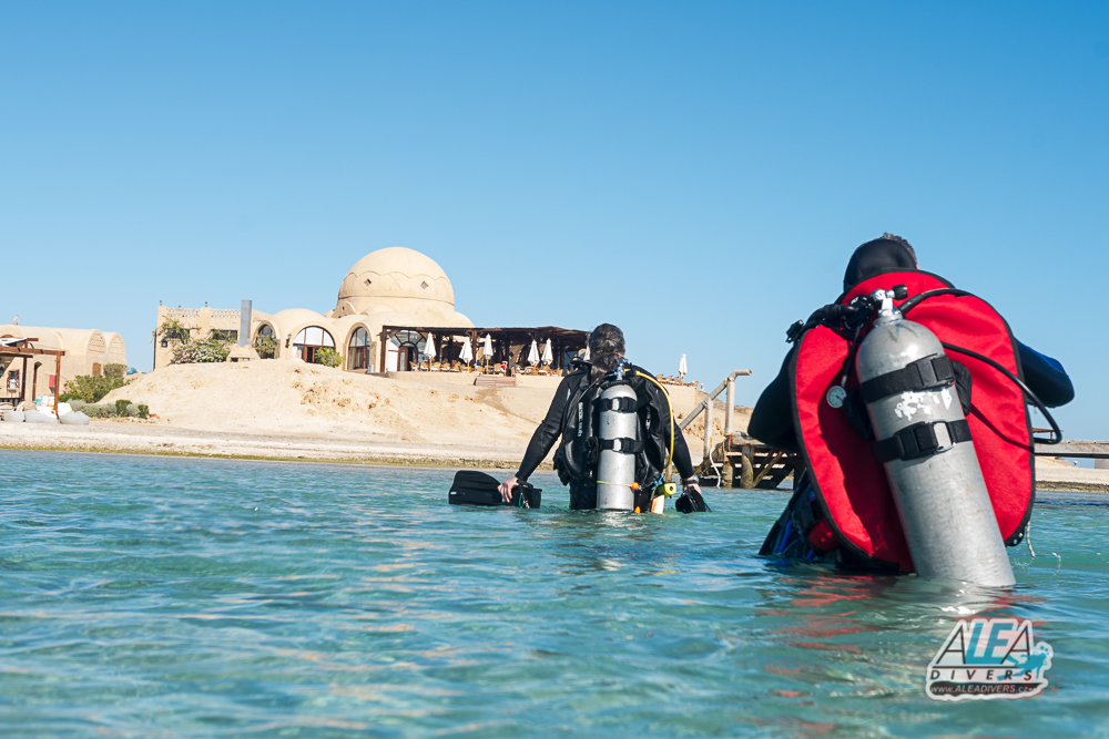 Marsa Shagra Egypt diving ALEA Divers