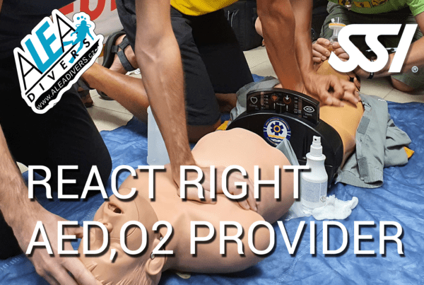 react right Specialty Diver