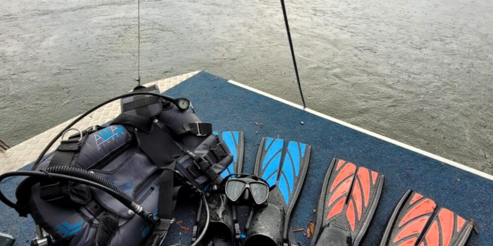 split fins ALEA Divers