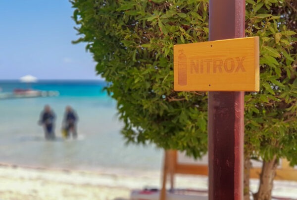 Marsa Shagra Nitrox ALEA Divers