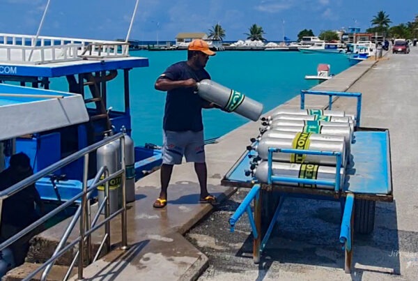 Divemaster job, priprava potapeni