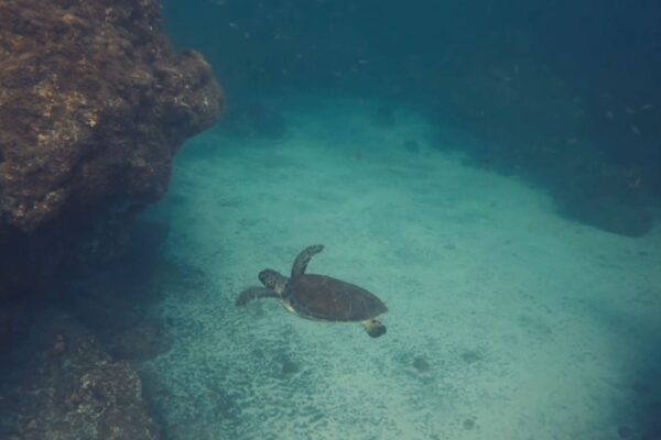 cabo verde 14